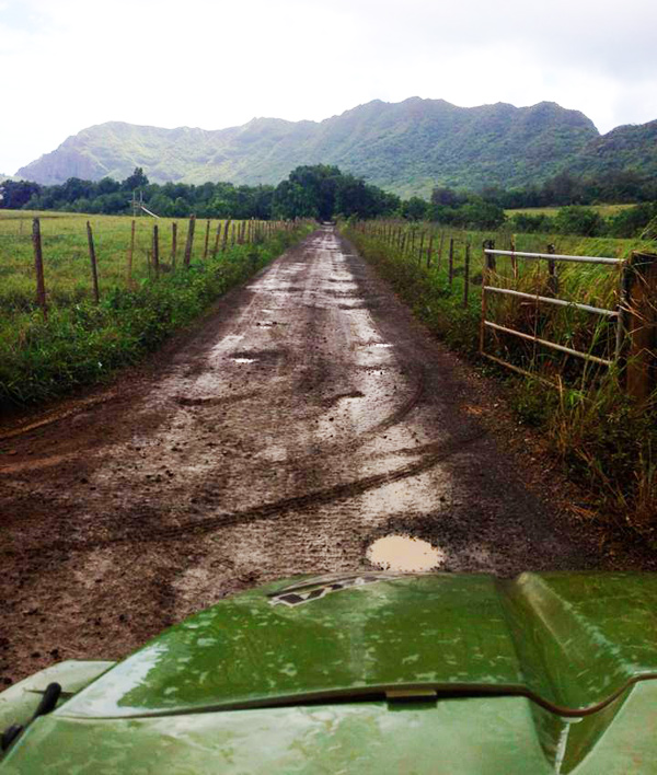 Kipu ranch adventures coupon code