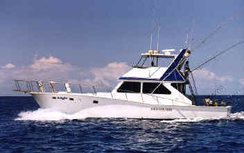 Hawaii Deep  Fishing on Magic Sportfishing Deep Sea Fishing   Hawaii Activities Discount