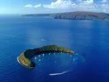  maui snorkeling